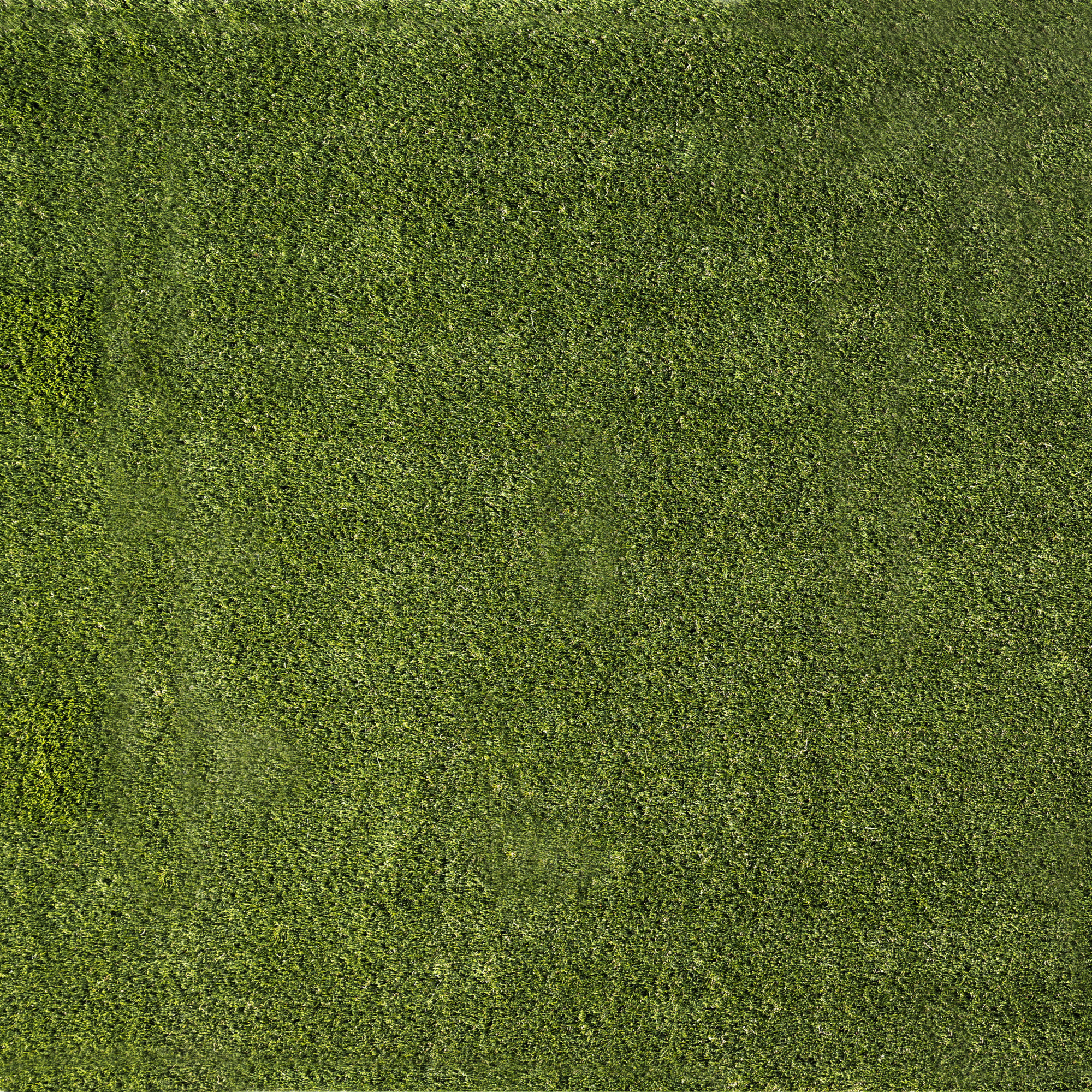 Ackland Linden Green Pre-Cut Artificial Grass Rug — 6ft. x 8ft. x 38mm, Stain-Resistant, Model# NTE-LSC-099